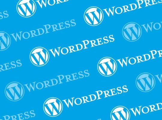 WordPress Kurulum