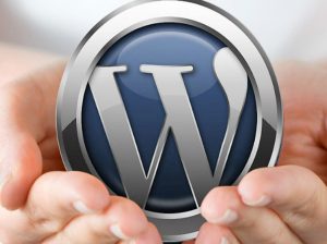 WordPress hata ve sorunlarınızı çözebilirim.