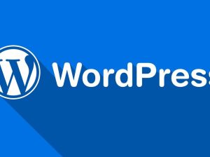 wordpress sitenizi tamamen türkçeleştirebilirim.