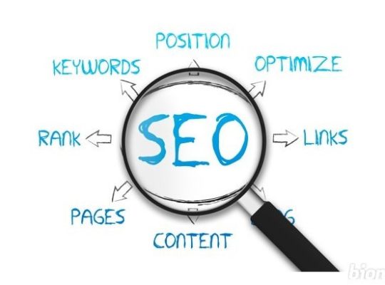 Sizin için 250 Kelimelik 15 Adet Profesyonel SEO Uyumlu Makale Yazabilirim