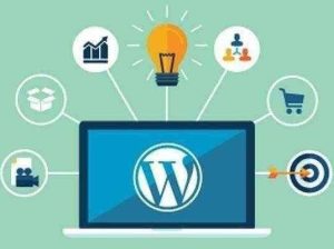 İsteğinize göre her tarzda, kaliteli WordPress sitesi hazırlayabilirim