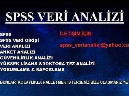 İstatistiksel Analizler spss