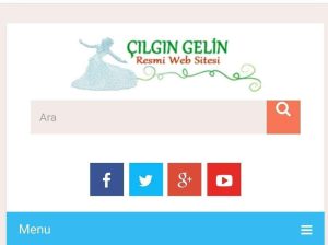 İsteğe bağlı web site hizmeti