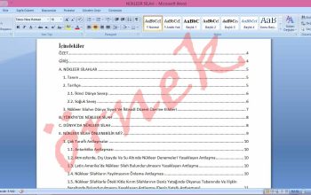 Word’de içindekiler, makale yazım kuralları, veri giriş, sunum hazırlama