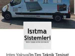 WEB SİTESİ LOGO TASARIMI SOSYAL MEDYA HESABI TAKİBİ