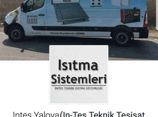 WEB SİTESİ LOGO TASARIMI SOSYAL MEDYA HESABI TAKİBİ