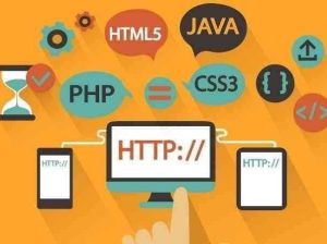 Web Sitesi Yapımı & Web Tasarım (ASP.NET)