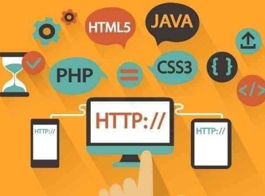 Web Sitesi Yapımı & Web Tasarım (ASP.NET)