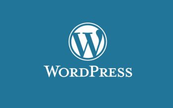 WordPress hazır tema kurulum site ayarları