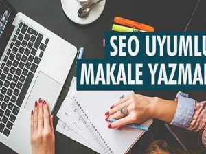 seo uyumlu makale