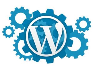 Seo Uyumlu WordPress Kurulumu Yaparım