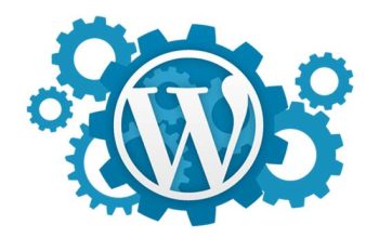 Seo Uyumlu WordPress Kurulumu Yaparım