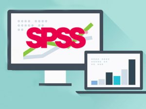 Tez düzenleme ve spss analizi yapılır