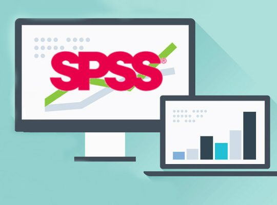 Tez düzenleme ve spss analizi yapılır