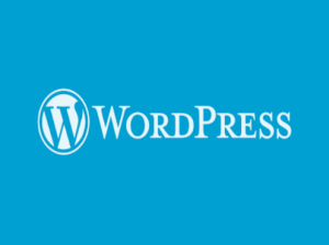 Hosting ve Alan adı sizden WordPress kurulumu benden