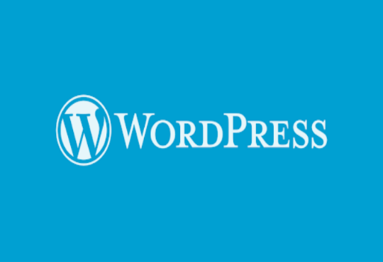 Hosting ve Alan adı sizden WordPress kurulumu benden