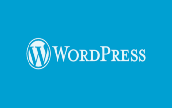 Seo Uyumlu Ucuz WordPress ile web sitesi yapabilirim