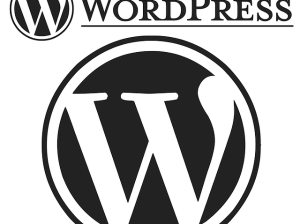 WordPress sitenizi yapabilirim.