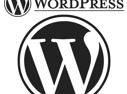 WordPress sitenizi yapabilirim.