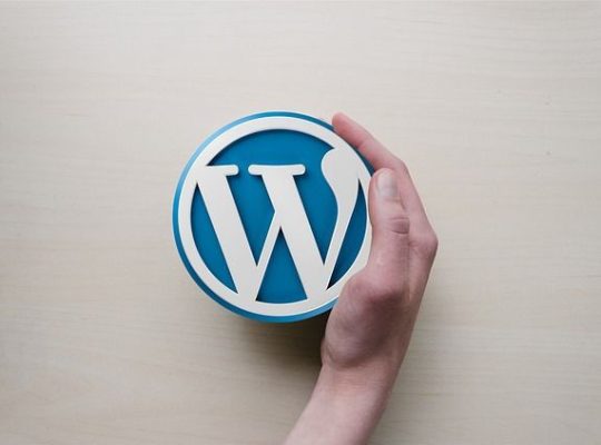 WordPress sitesi kurulumu. Teslim etme.