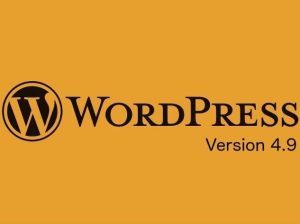 WordPress kurulum ücreti