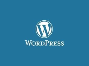 WordPress Kurulum / SEO