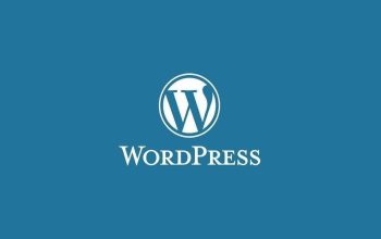 WordPress Kurulum / SEO