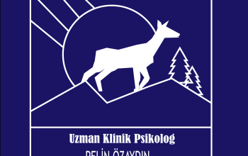 Tamamen size özel ve profesyonel programlar kullanarak logo tasarımı yapıyorum