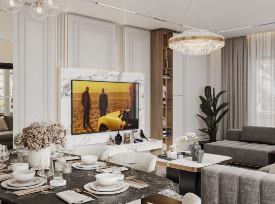 3D Artist | 3ds Max & Corona Renderer Specialist | Architect