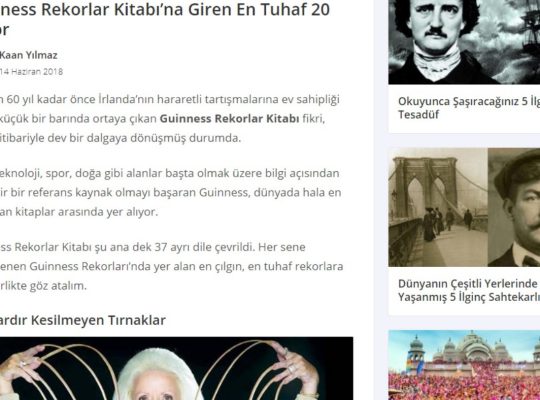 SEO uyumlu içerik yazarlığı