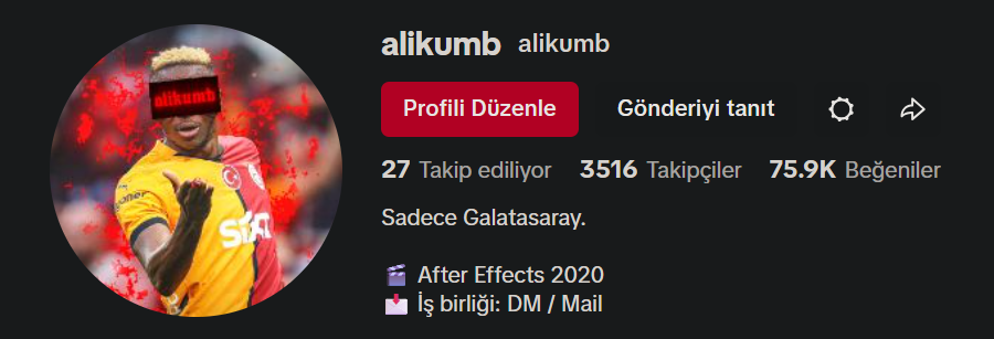 TikTok Marketing & Viral Video Deneyimi