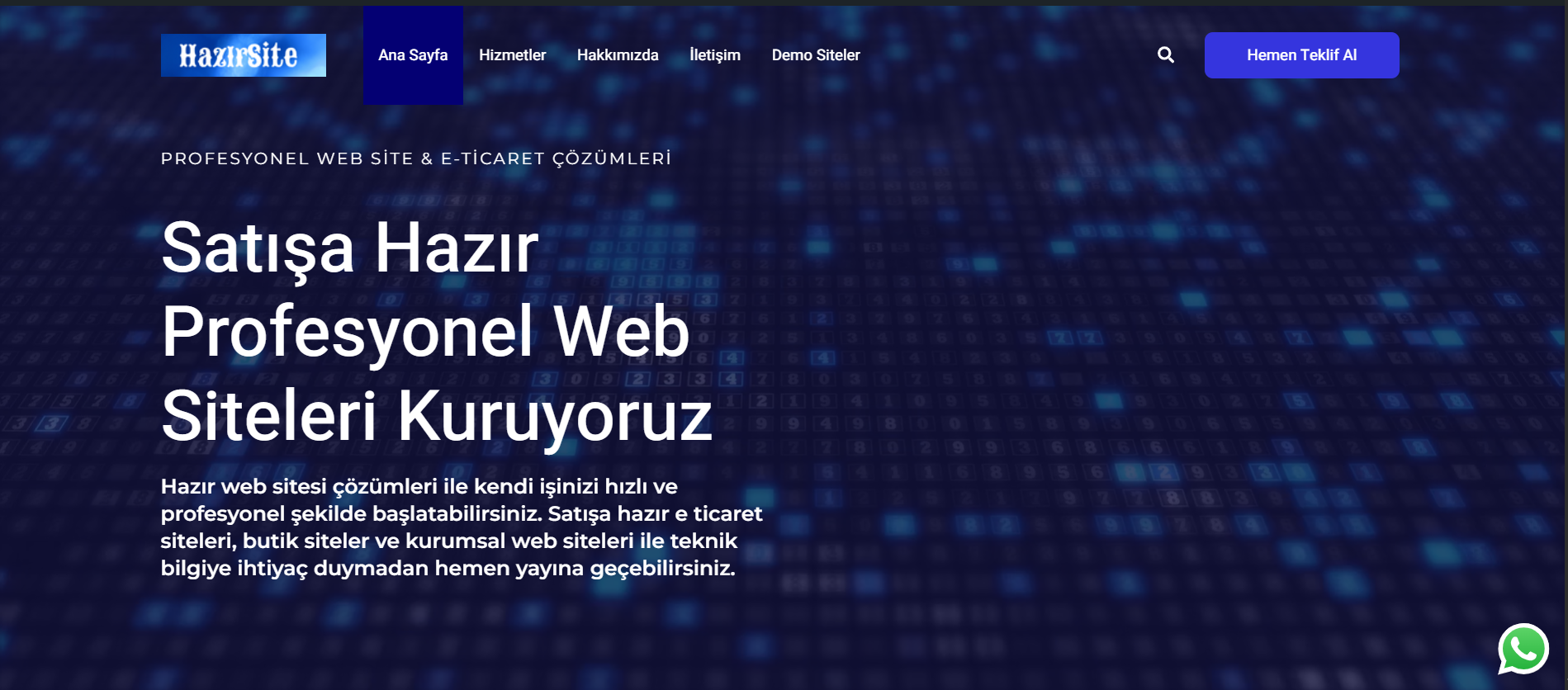 İşletmeniz İçin Profesyonel Web Sitesi Kurulumu