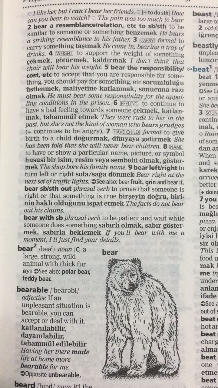 İngilizce Makale ve Yazı Çevirisi