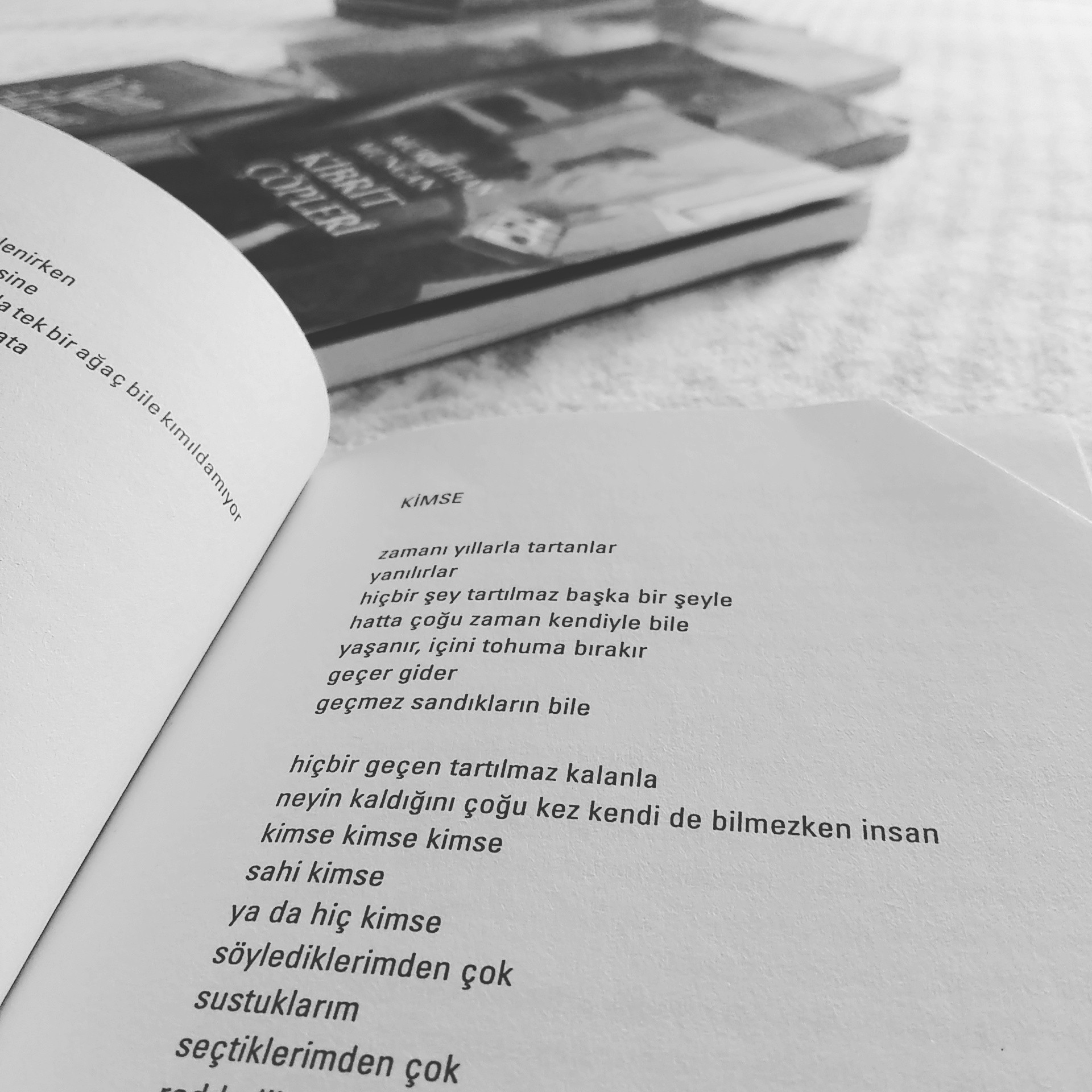 Makale yazarlığı yapabilirim.