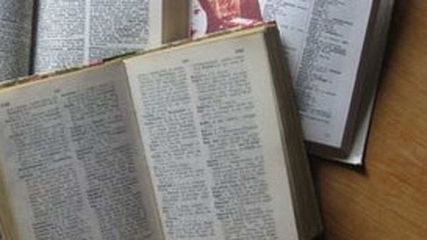 Sizin için Fransızca - Türkçe dil çiftinde çeviri yaparım.