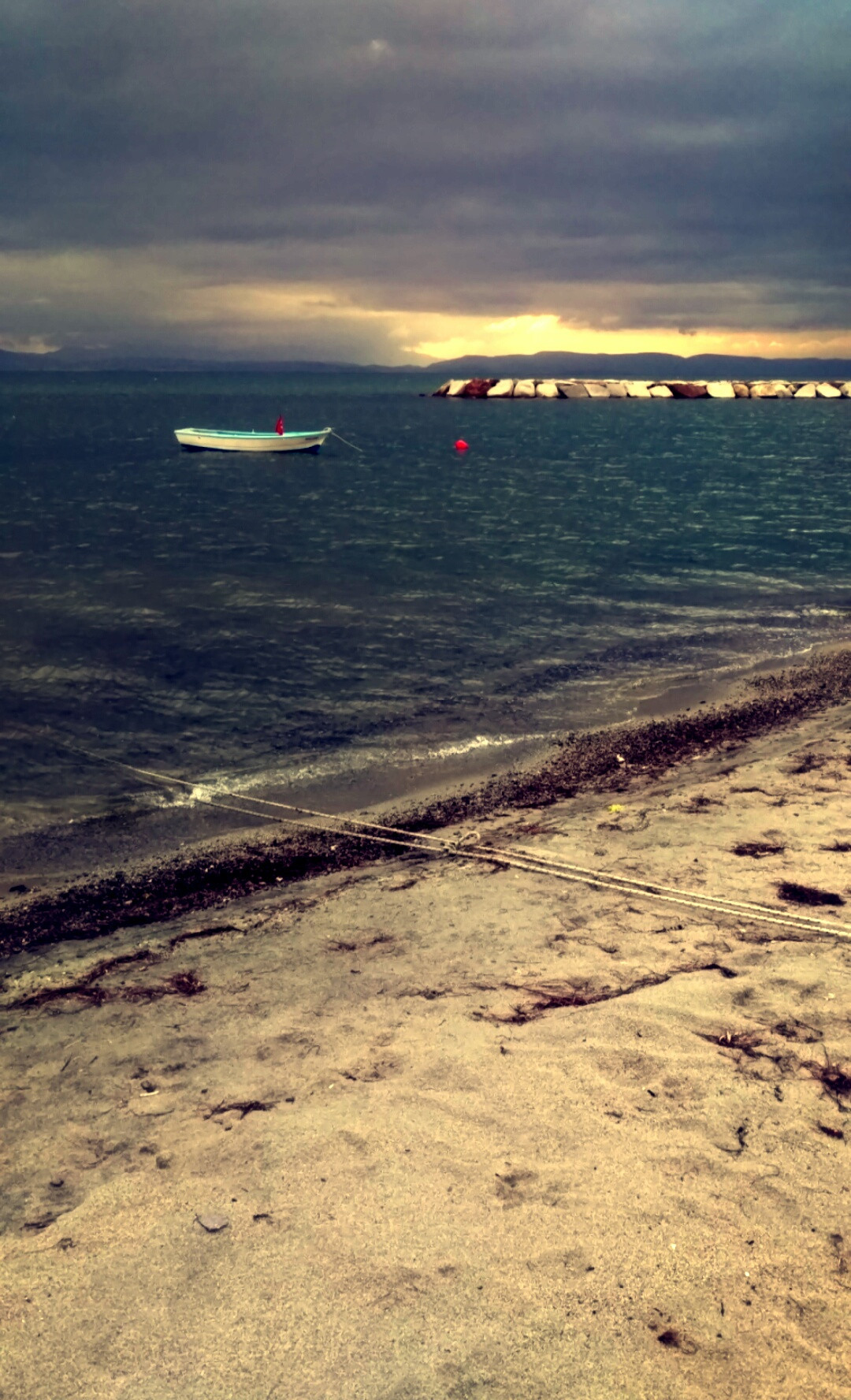 Logo ve amblem tasarimlari