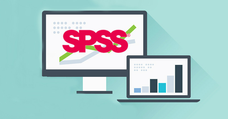 Tez düzenleme ve spss analizi yapılır