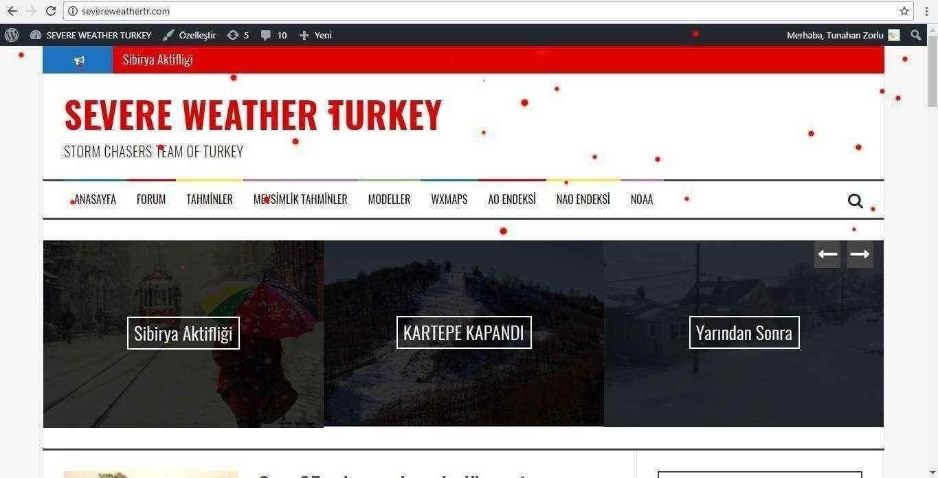 Hayallerinizi sitenize geçiriyorum