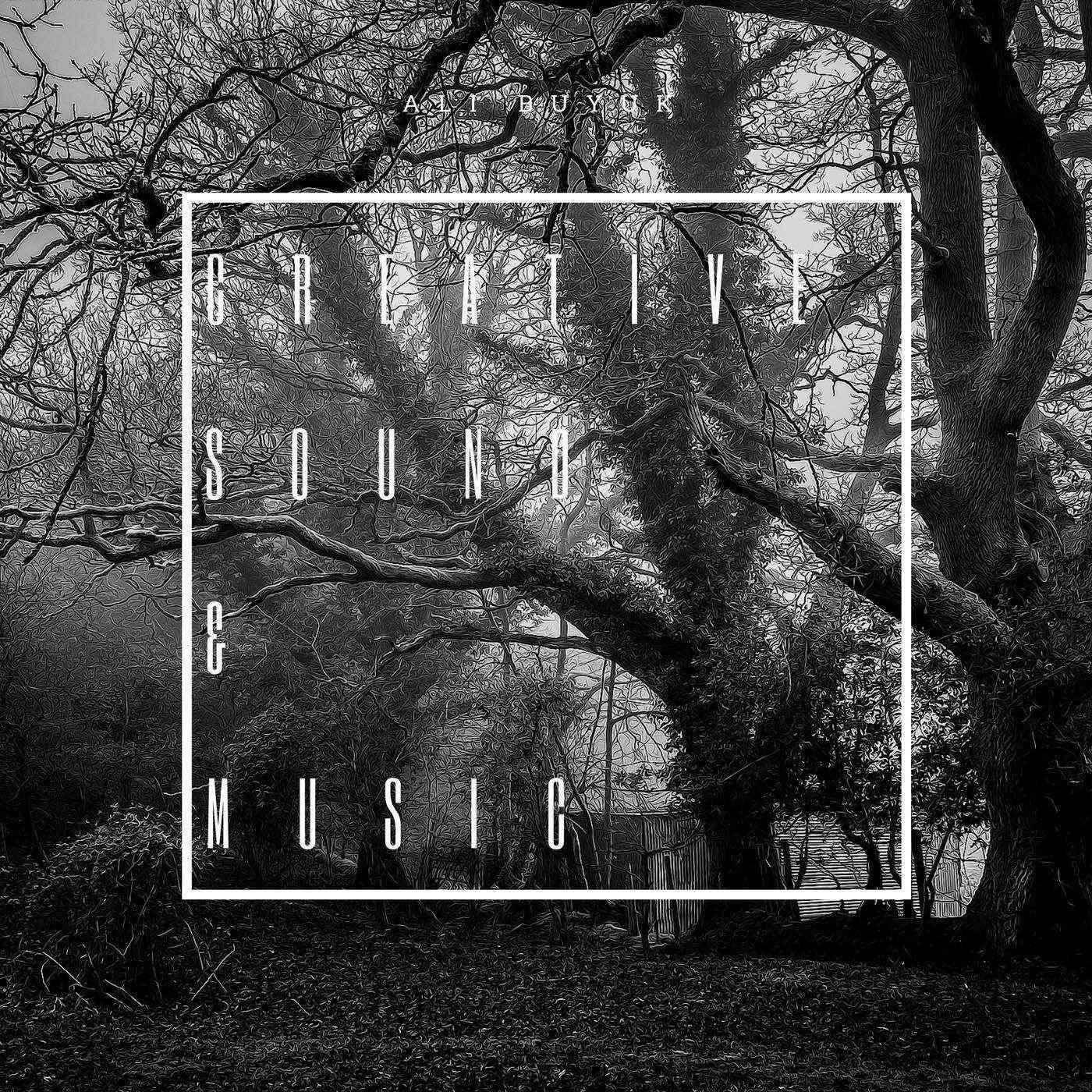 Tanıtım ve organizasyon videolarınıza müzik yapabilirim.