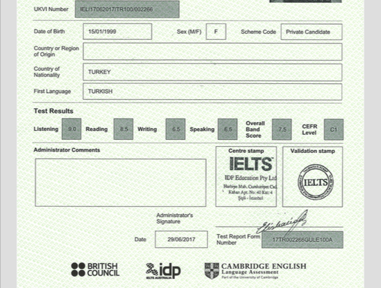 İngilizce Türkçe Çeviri