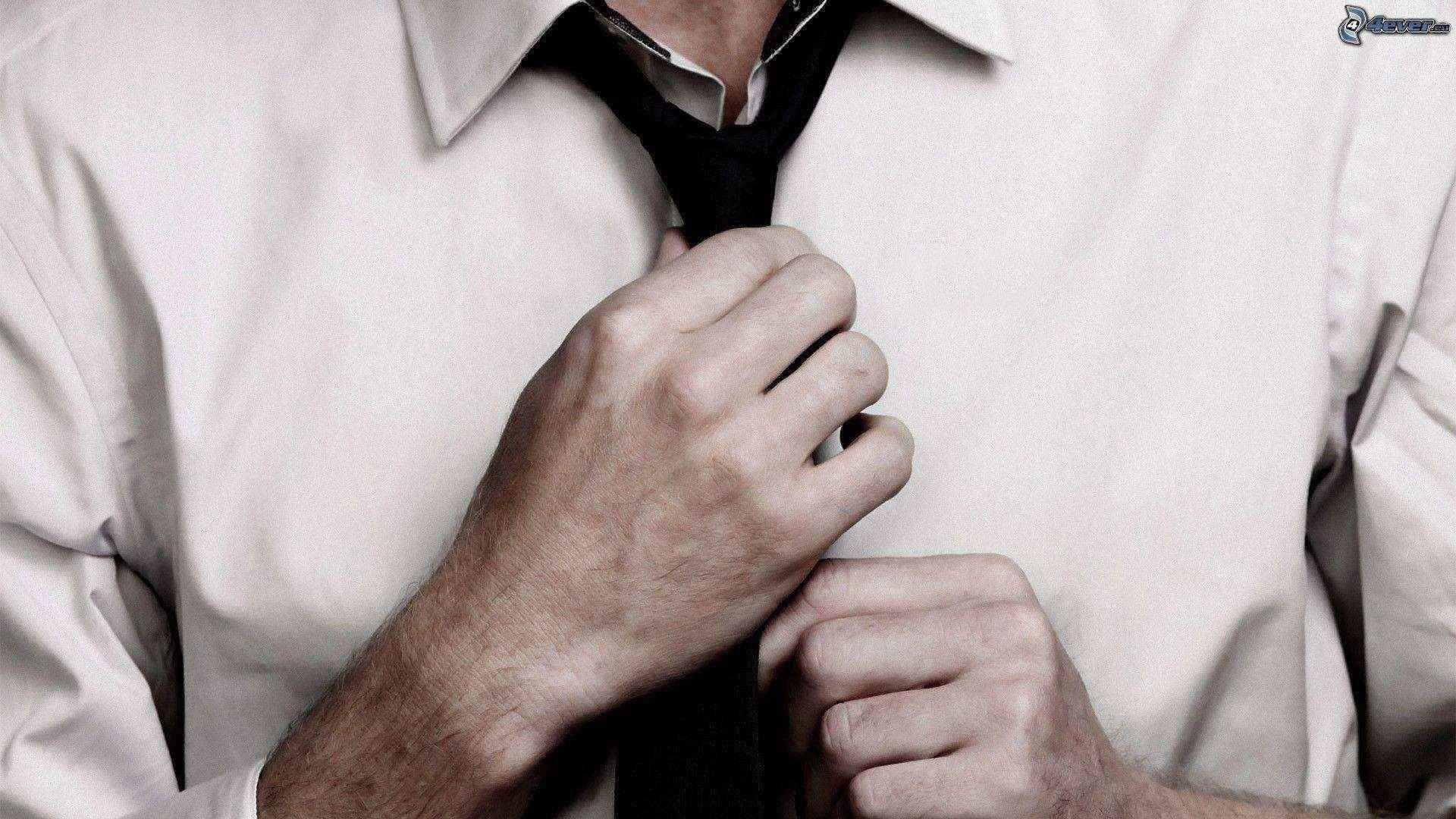 Özgün içerik ve makale