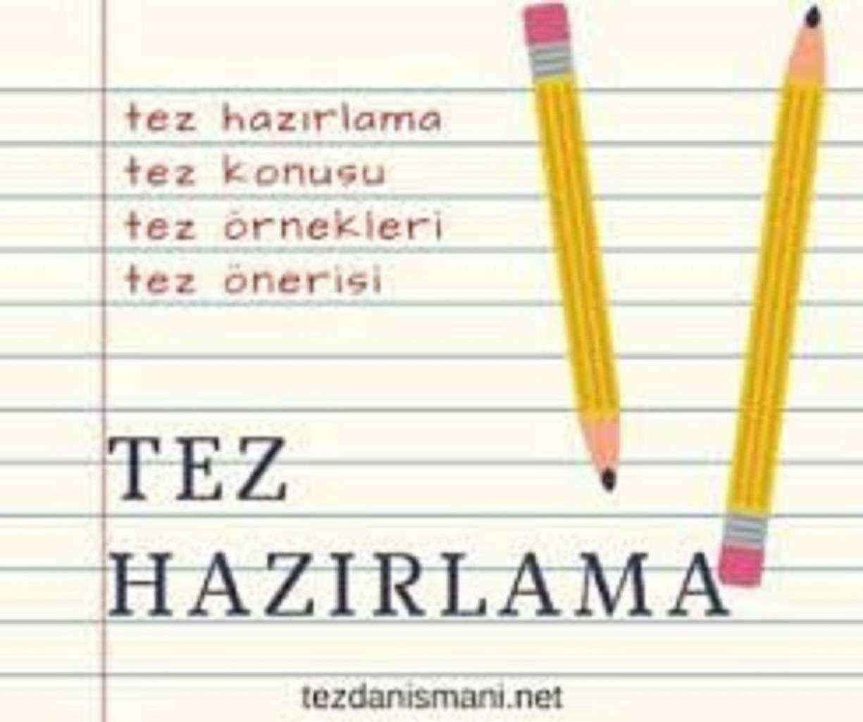 Bilgisayar Öğretmeninden 2 ayda beirtilen konuda tez yazma ve istatistik analizi