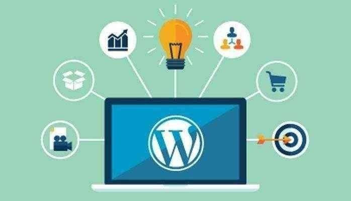 İsteğinize göre her tarzda, kaliteli Wordpress sitesi hazırlayabilirim