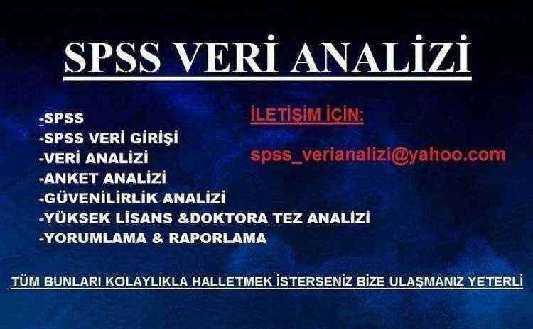 İstatistiksel Analizler spss