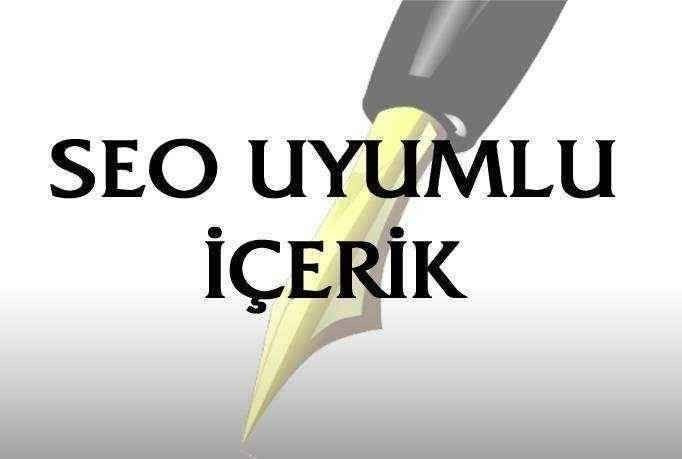 5 Adet SEO Uyumlu Özgün Makale Yazabilirim