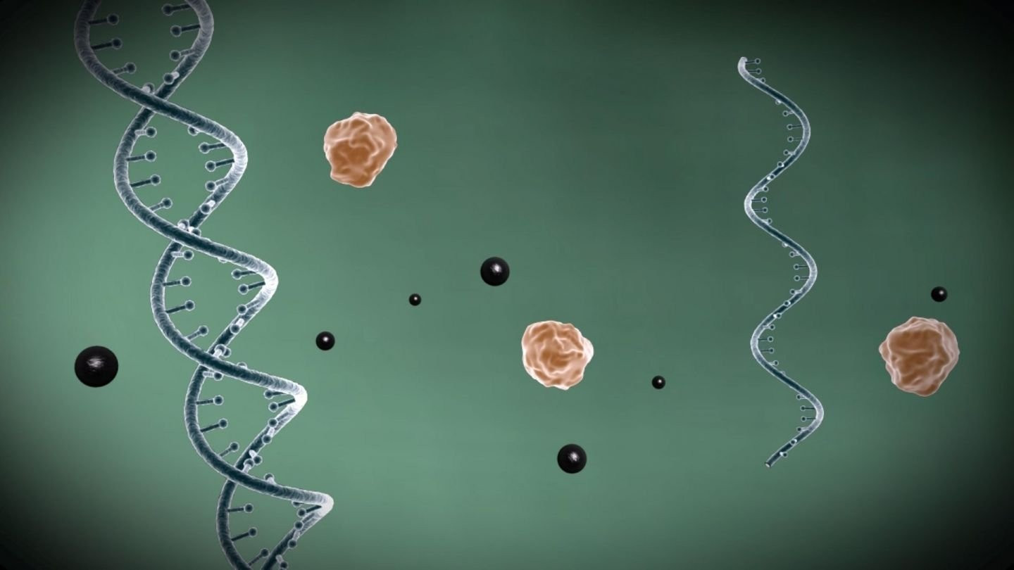 MAKALE YAZIMI ..................................................................