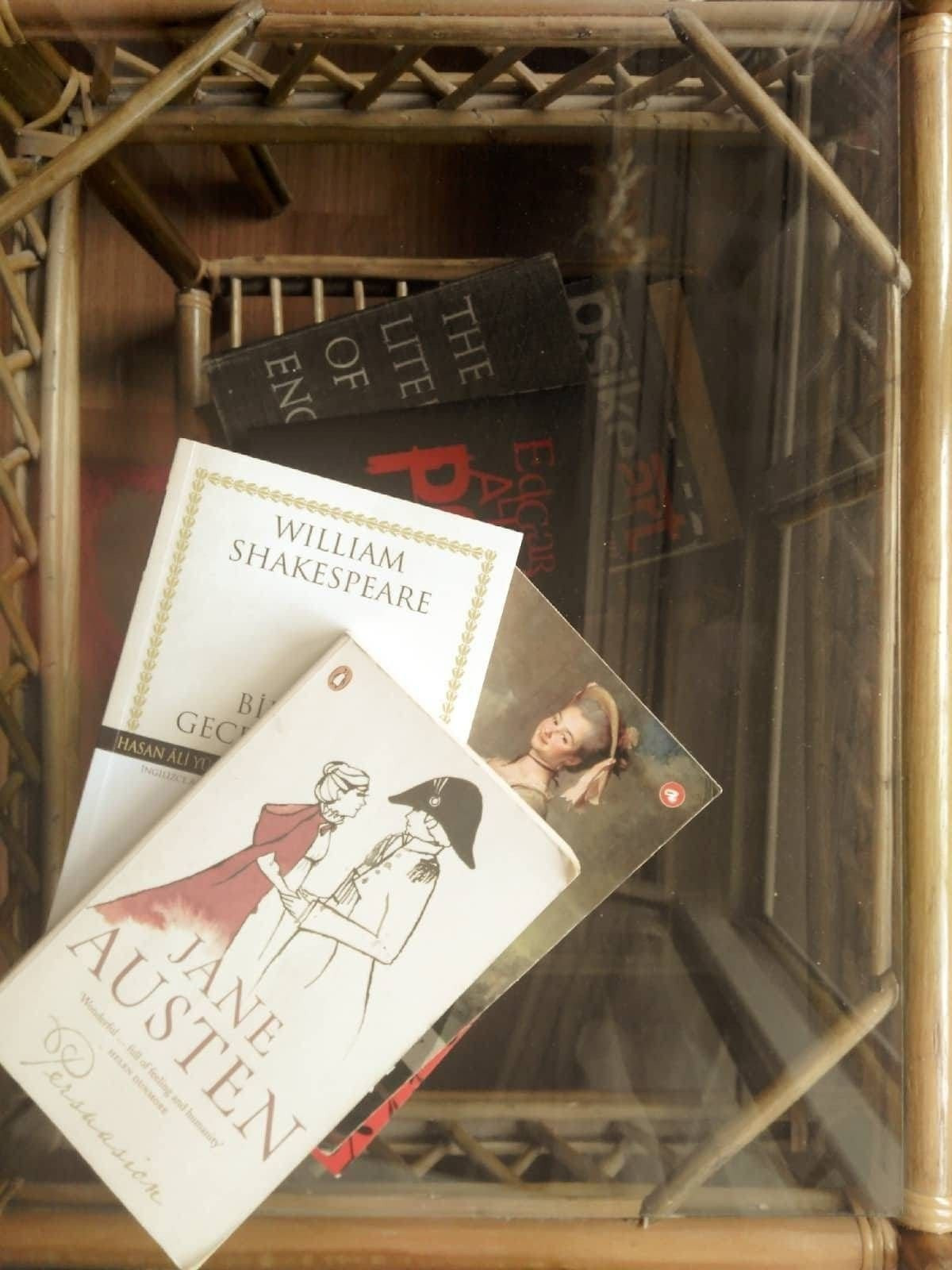 İngilizce-Türkçe ve Türkçe-İngilizce çeviri yapabilirim.