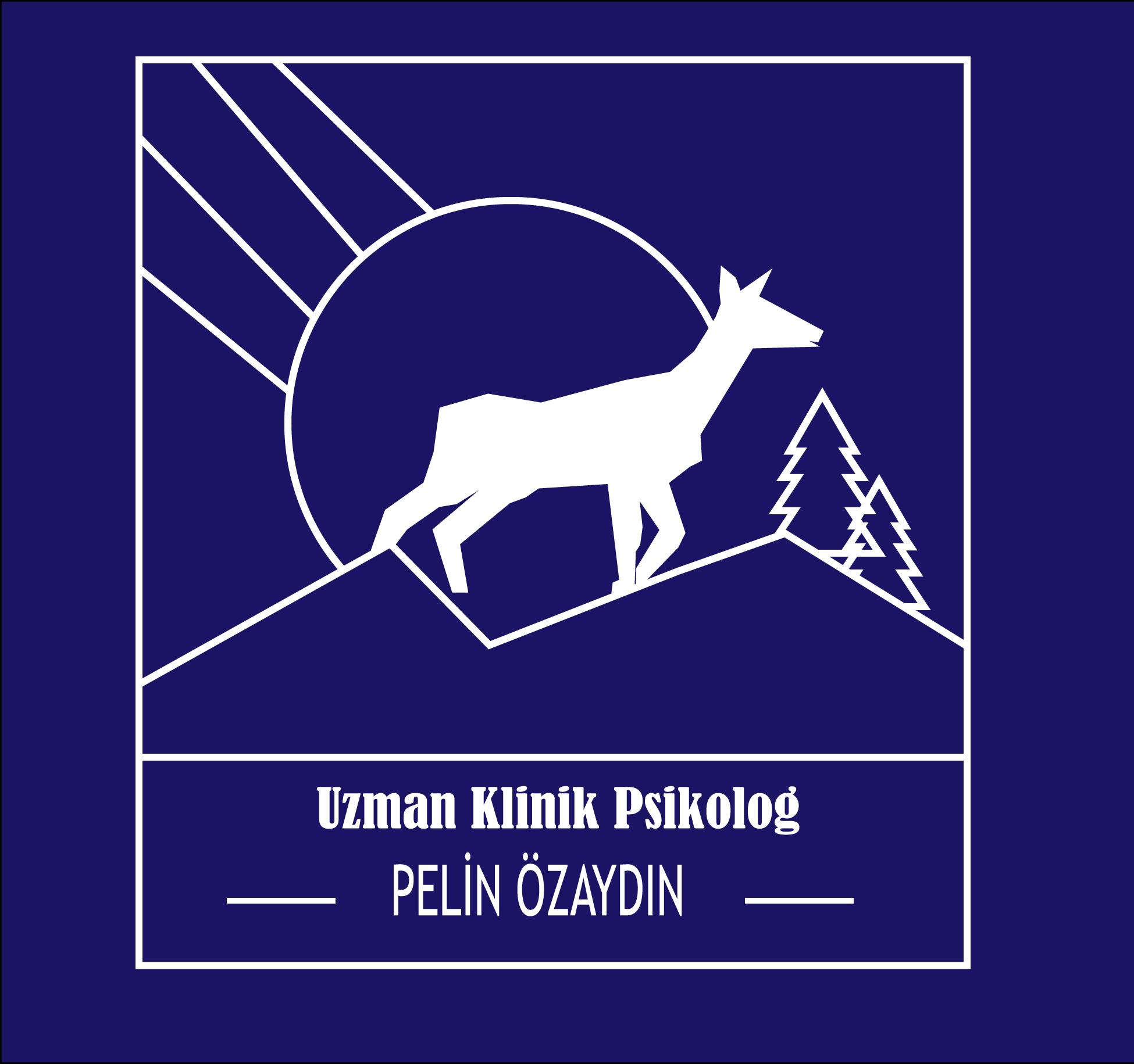 Tamamen size özel ve profesyonel programlar kullanarak logo tasarımı yapıyorum