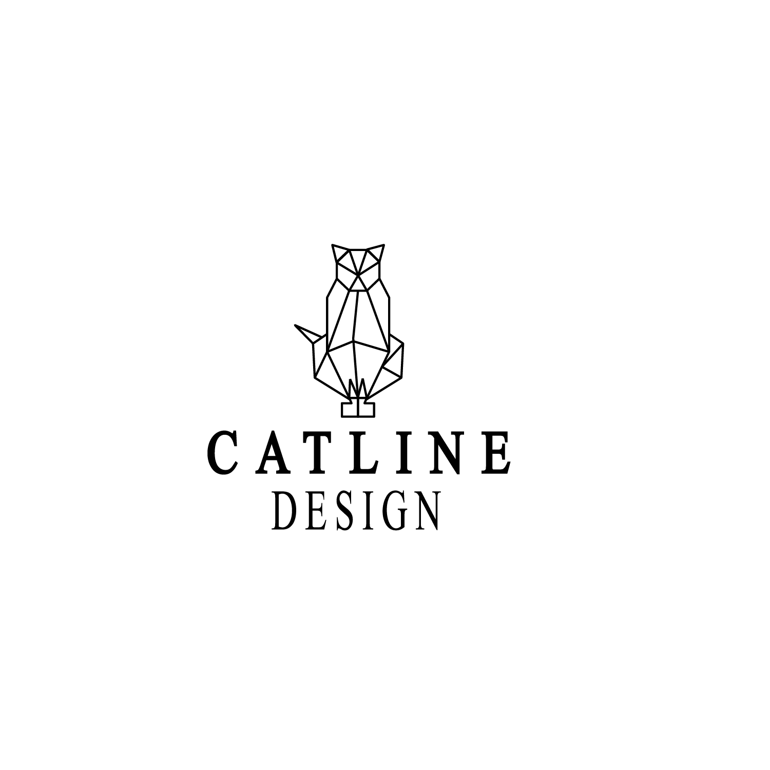 Tamamen size özel ve profesyonel programlar kullanarak logo tasarımı yapıyorum