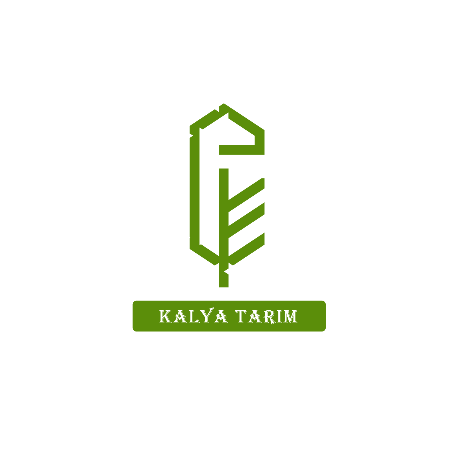 Tamamen size özel ve profesyonel programlar kullanarak logo tasarımı yapıyorum